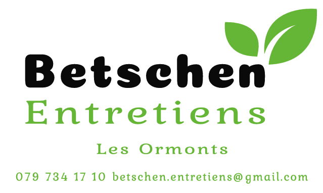Betschen entretien - ils nous soutiennet - Association sportive automobile des alpes vaudoises -asaav